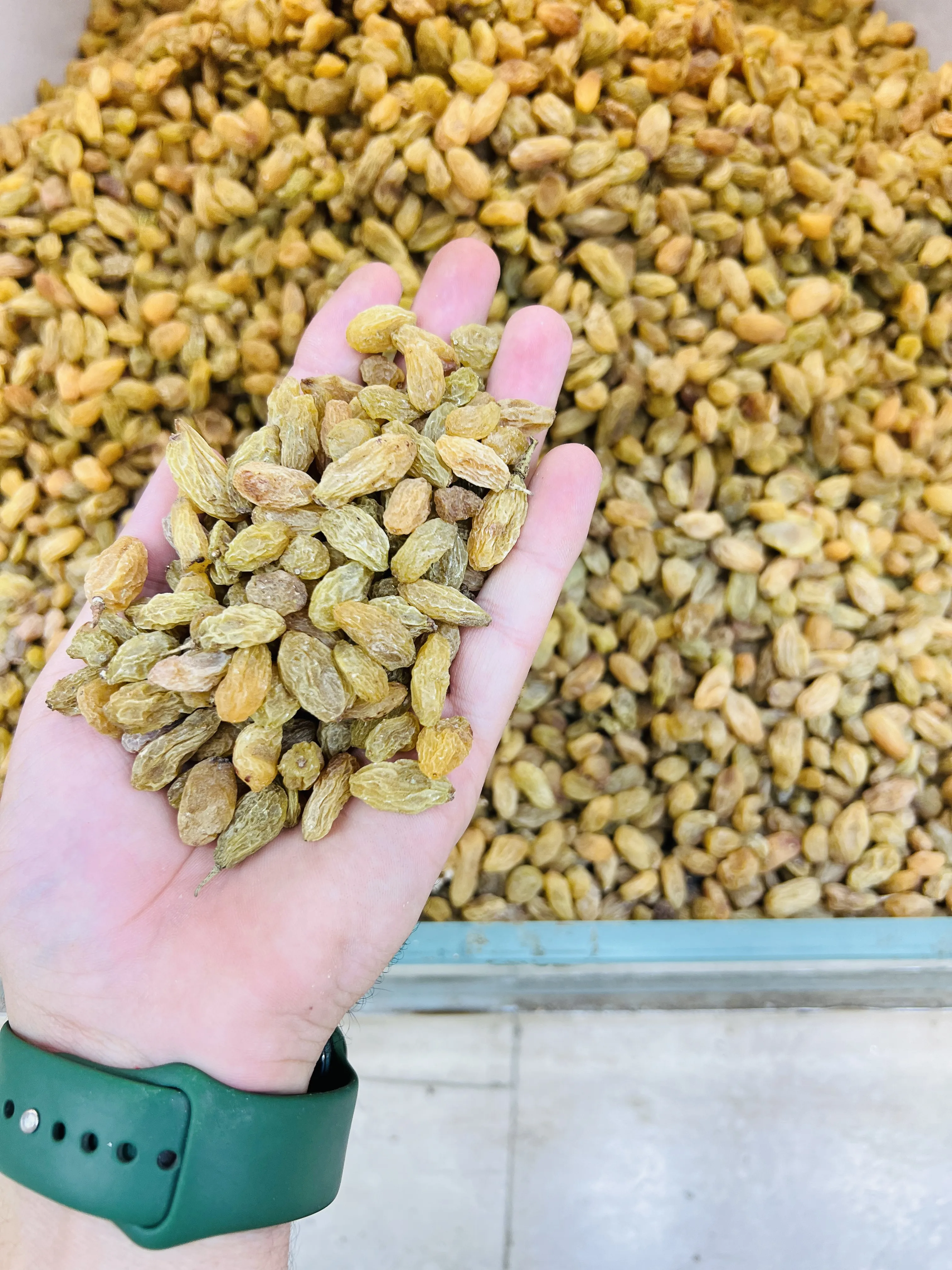 QDF RAISINS ROUND PREM (KISHMISH) 500 GWT
