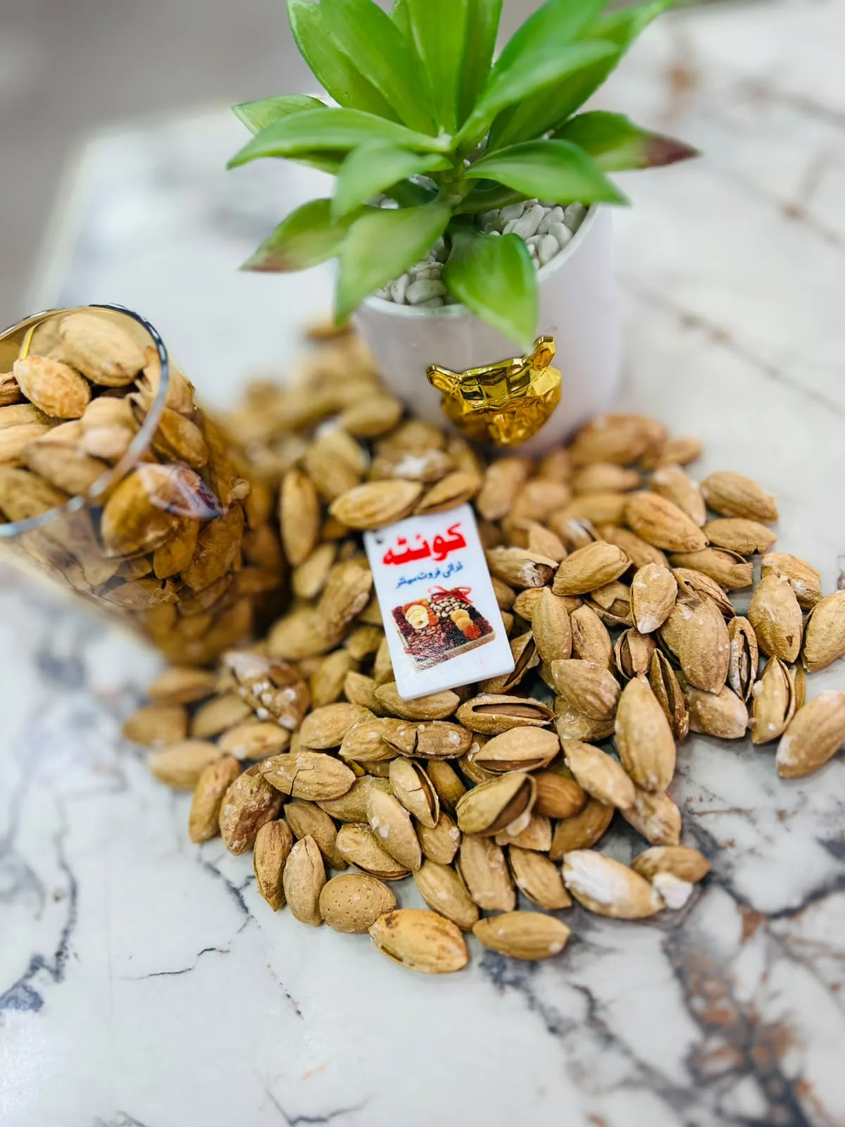 QDF ALMONDS SHELL ROASTED (BADAM) 500 GWT