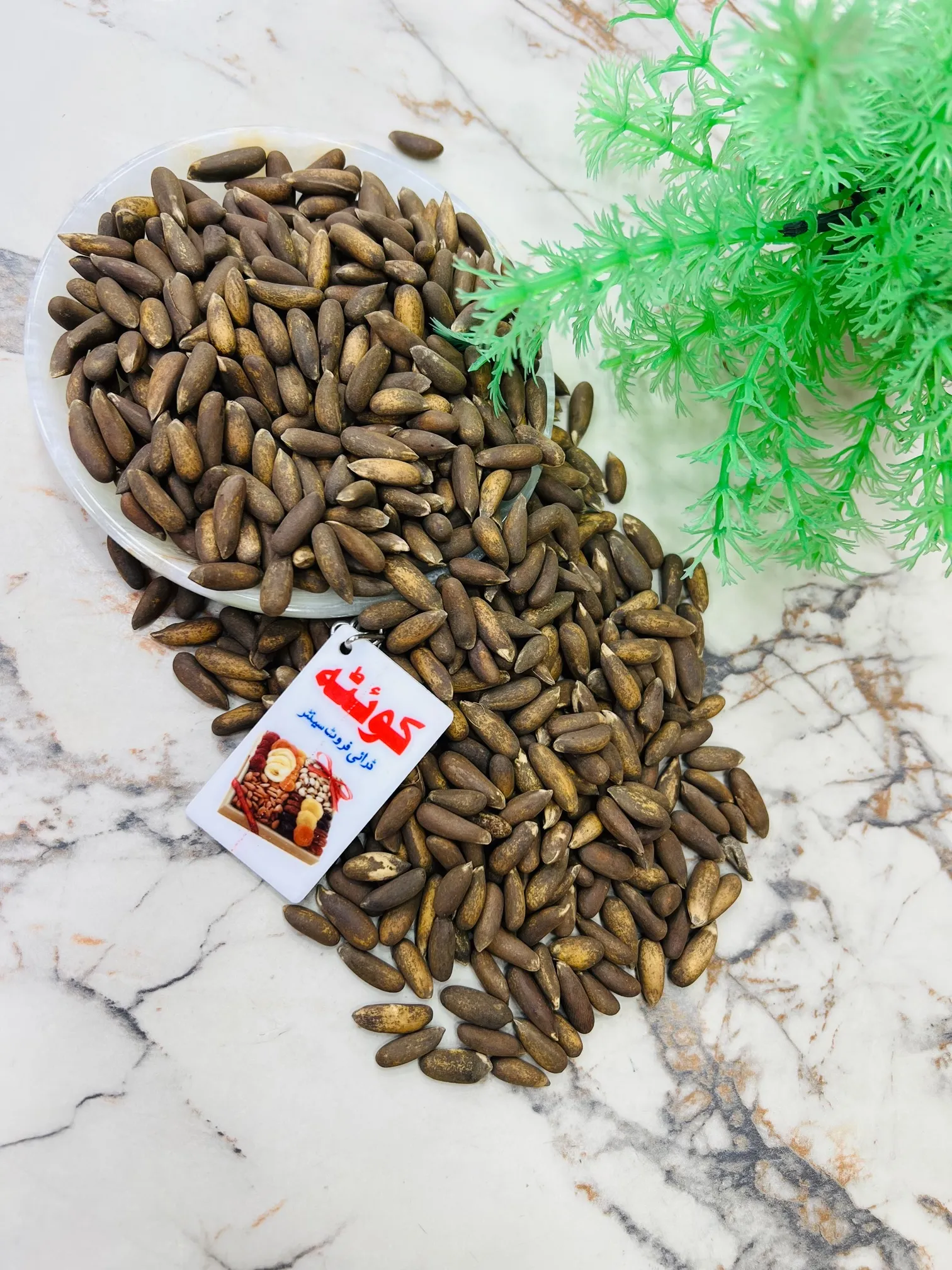 QDF PINE NUTS PREM  SIZE (CHILGHOZA) 500 GWT